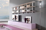 TV Cabinet Design